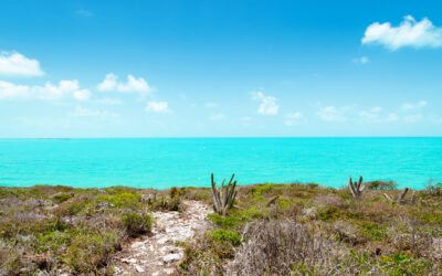 Ocean Drive Lot